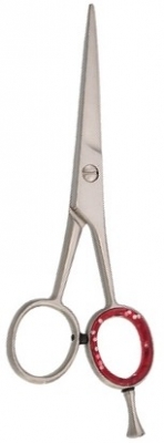 Barber Scissor 